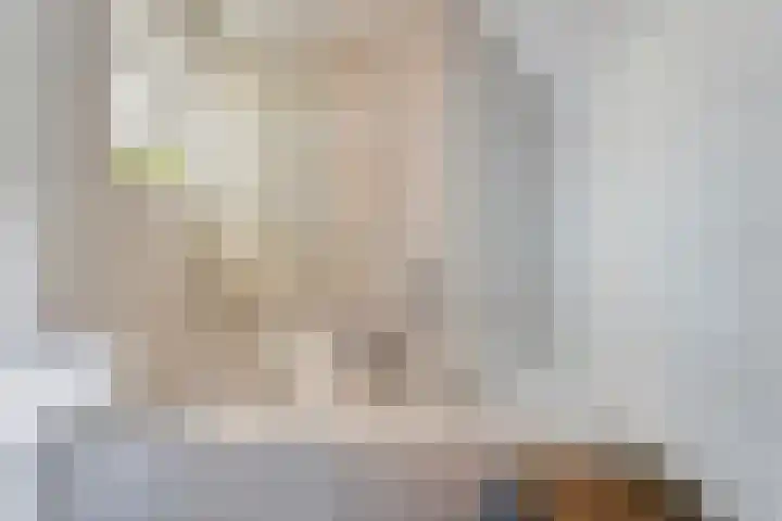 Torenstraat 8 Ezinge thumbnail 22