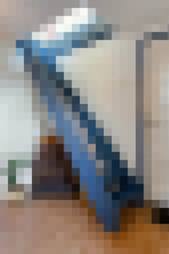 Torenstraat 8 Ezinge thumbnail 25