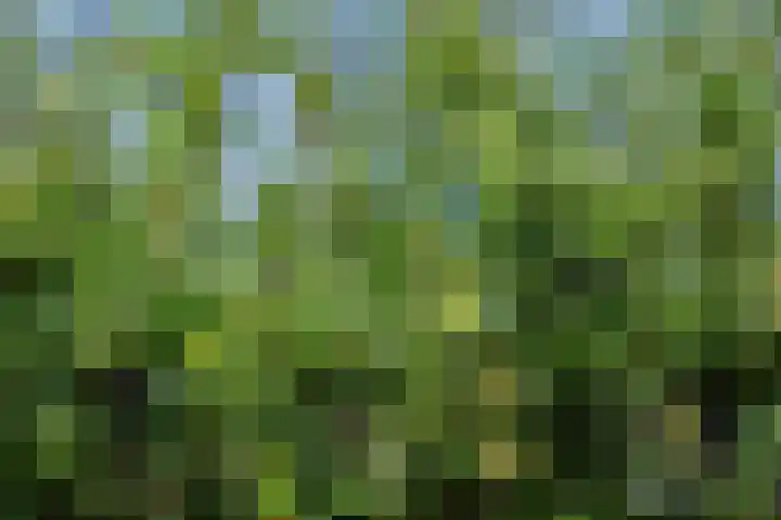 Torenstraat 8 Ezinge thumbnail 38