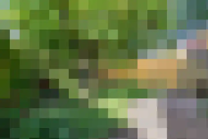 Torenstraat 8 Ezinge thumbnail 39