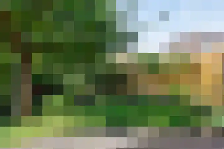 Torenstraat 8 Ezinge thumbnail 40