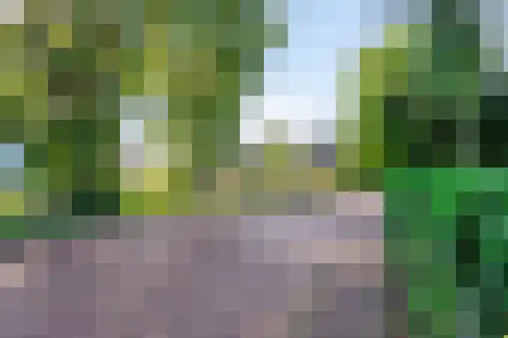 Torenstraat 8 Ezinge thumbnail 45