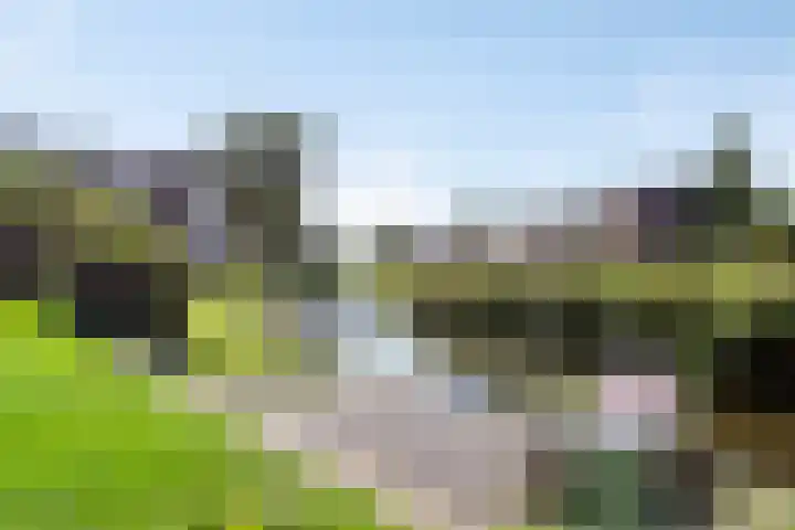 Torenstraat 8 Ezinge thumbnail 46