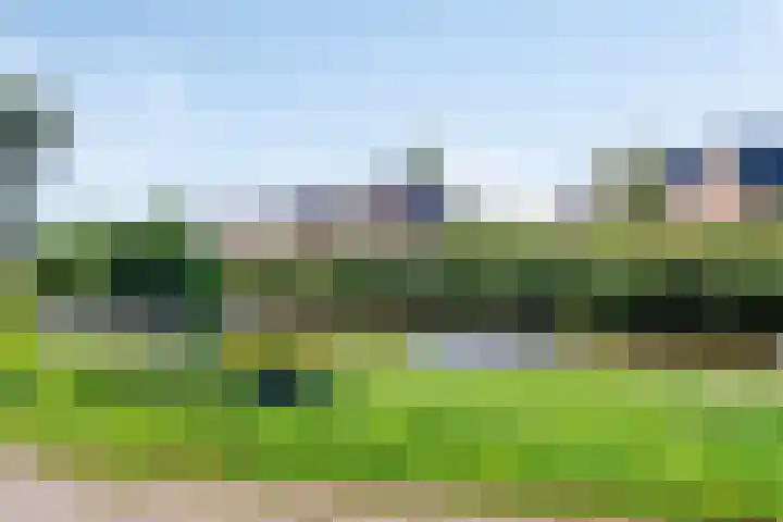 Torenstraat 8 Ezinge thumbnail 47
