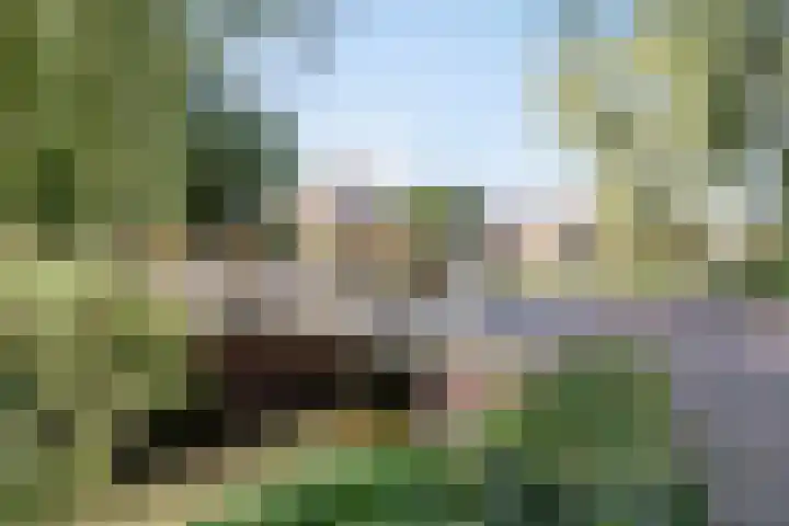 Torenstraat 8 Ezinge thumbnail 48