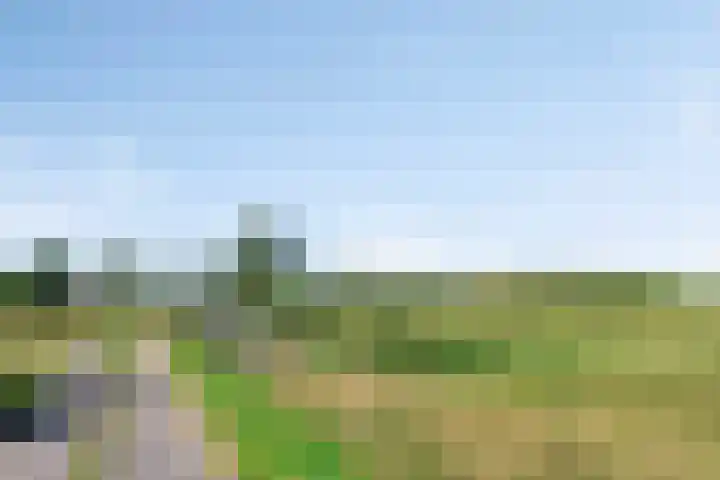 Torenstraat 8 Ezinge thumbnail 49