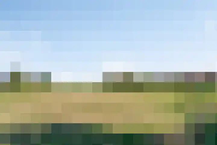 Torenstraat 8 Ezinge thumbnail 50