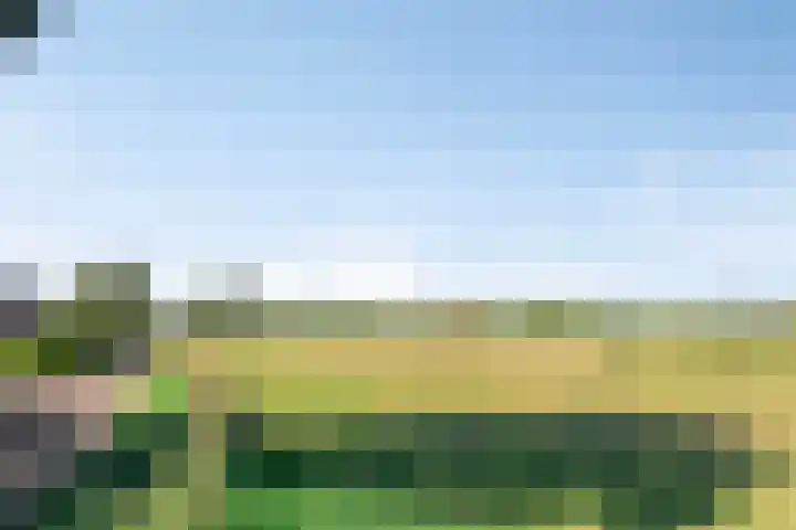 Torenstraat 8 Ezinge thumbnail 51