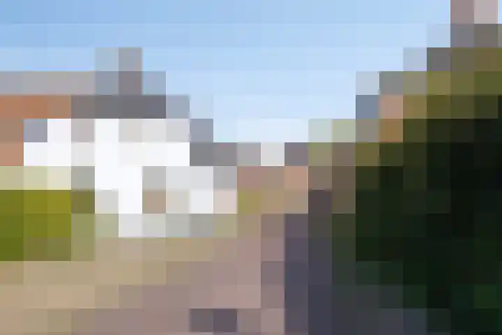 Torenstraat 8 Ezinge thumbnail 52
