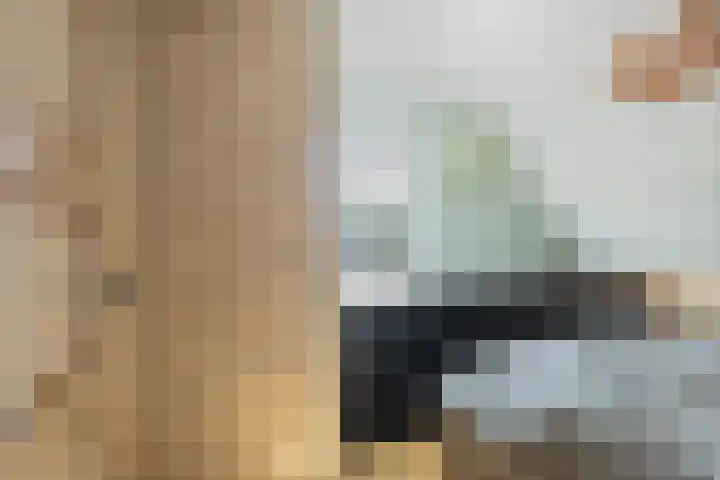 Torenstraat 8 Heeswijk-Dinther thumbnail 23