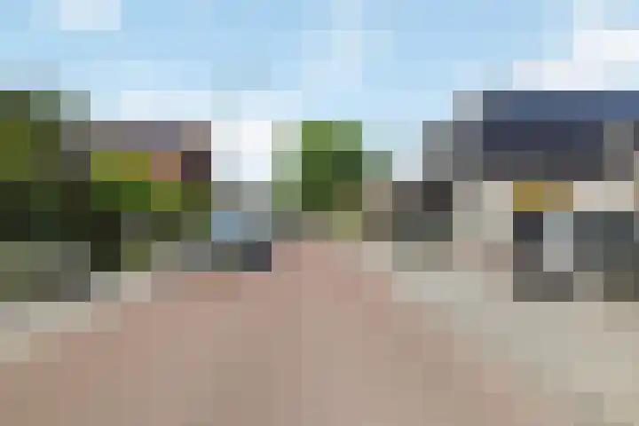 Torenstraat 8 Heeswijk-Dinther thumbnail 33