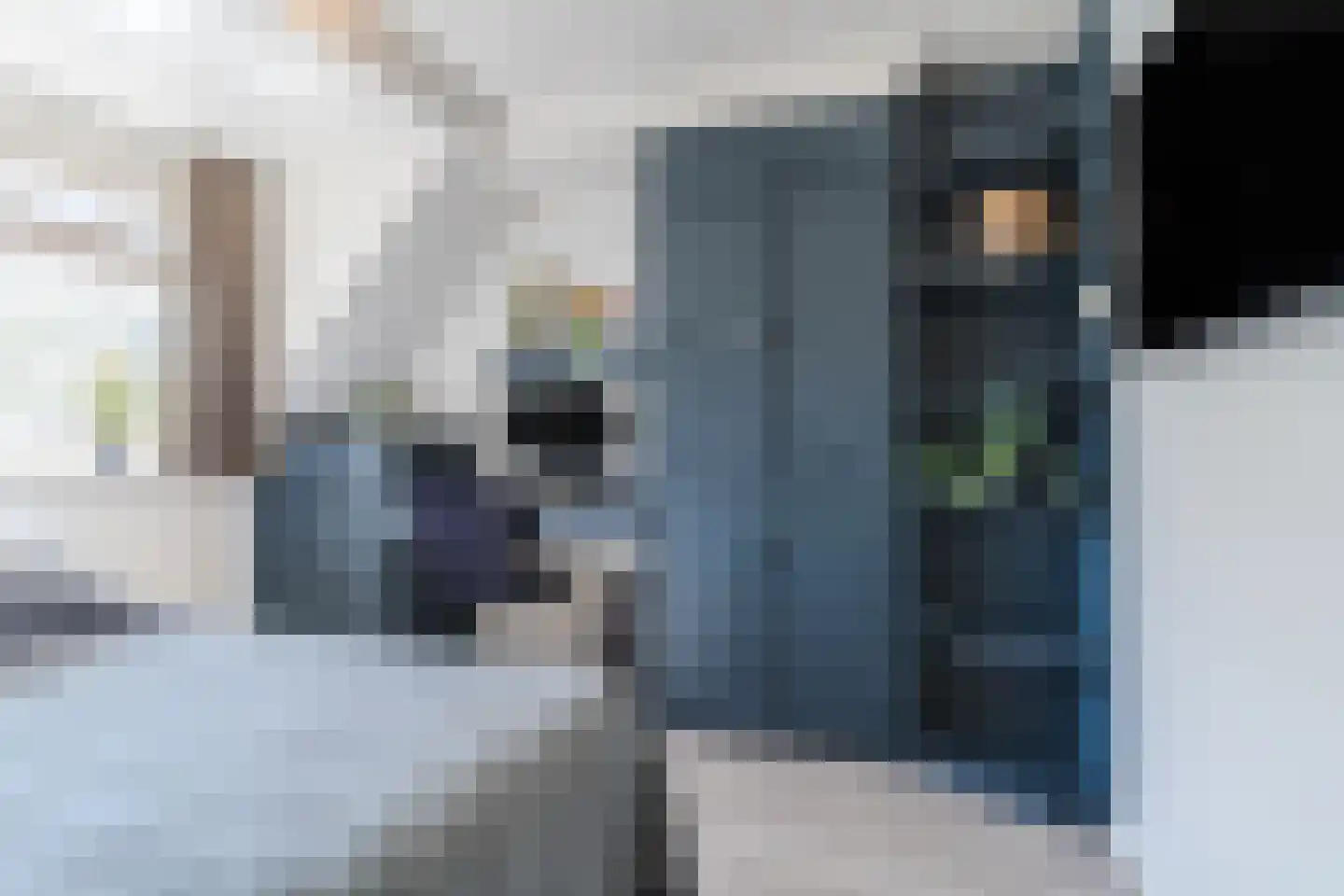 Torenstraat 8 Herpt thumbnail 13