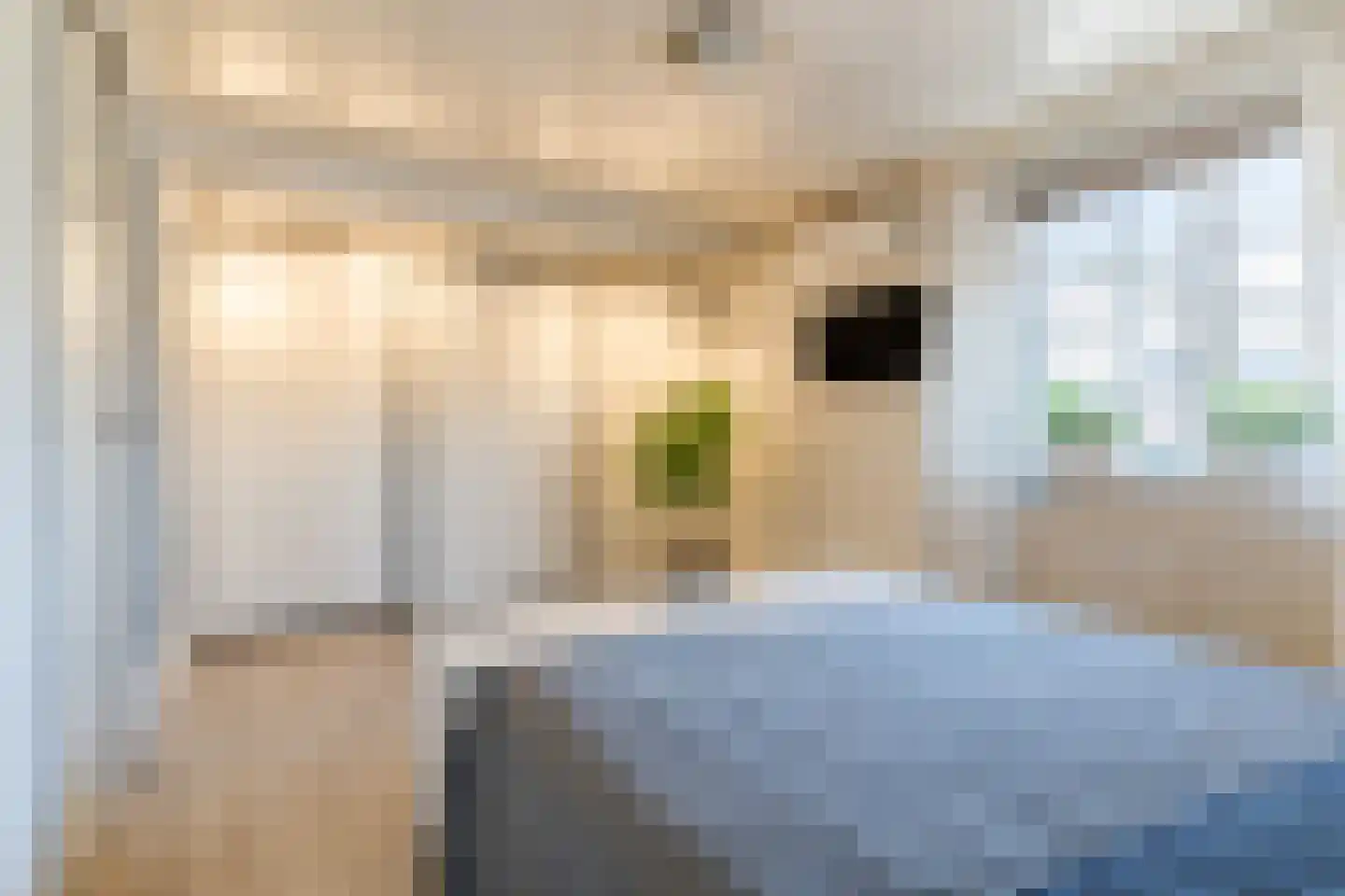 Torenstraat 8 Herpt thumbnail 15