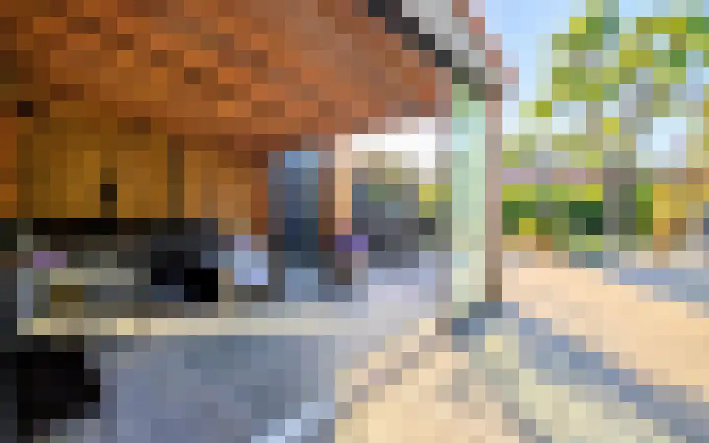 Torenstraat 8 Herpt thumbnail 21
