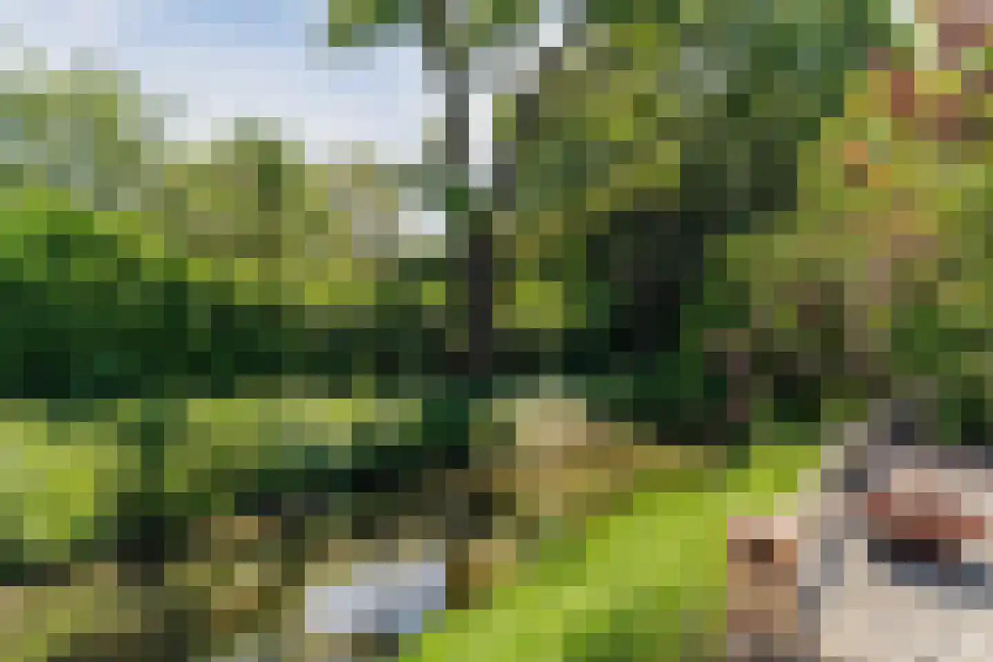 Torenstraat 8 Herpt thumbnail 25