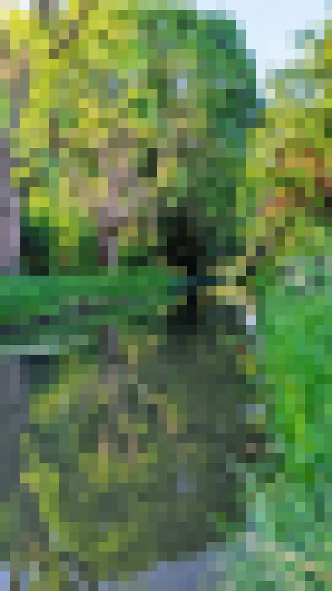 Torenstraat 8 Herpt thumbnail 26