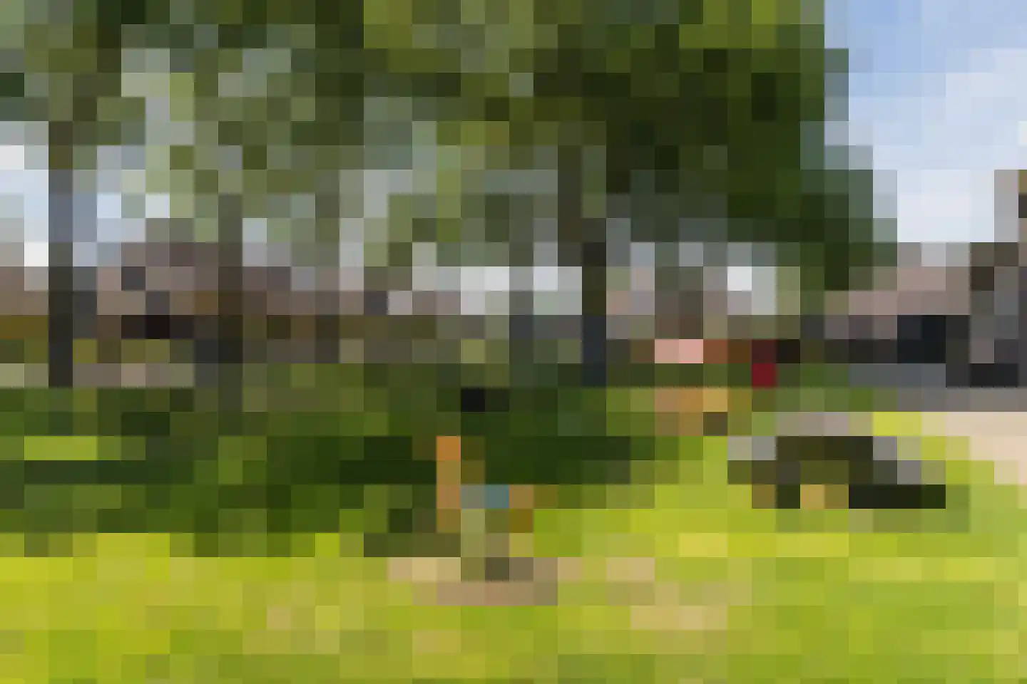 Torenstraat 8 Herpt thumbnail 30