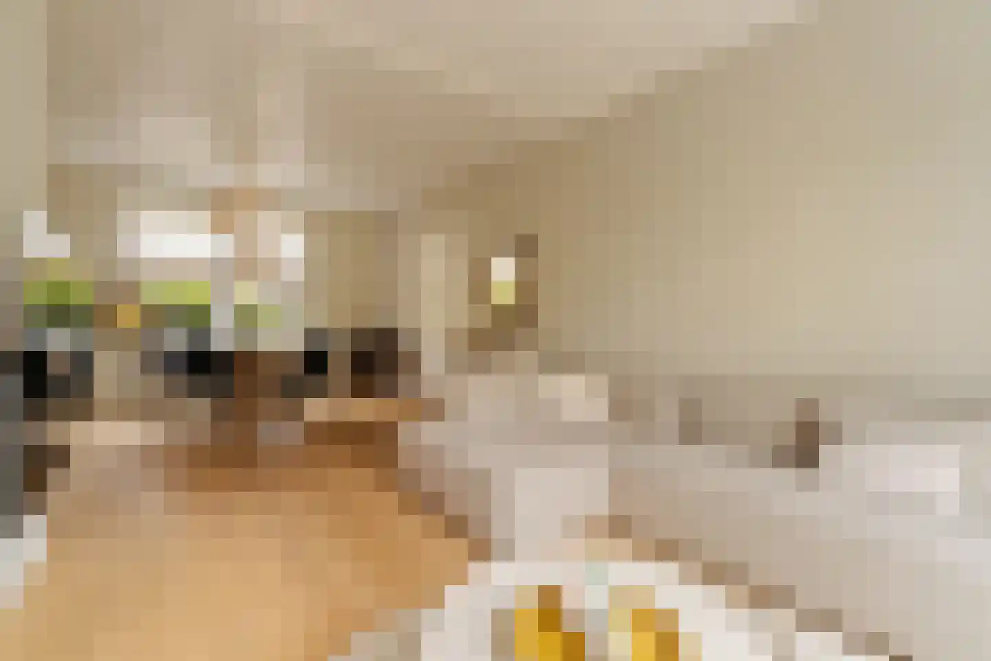 Torenstraat 8 Nieuwerkerk aan den IJssel thumbnail 12