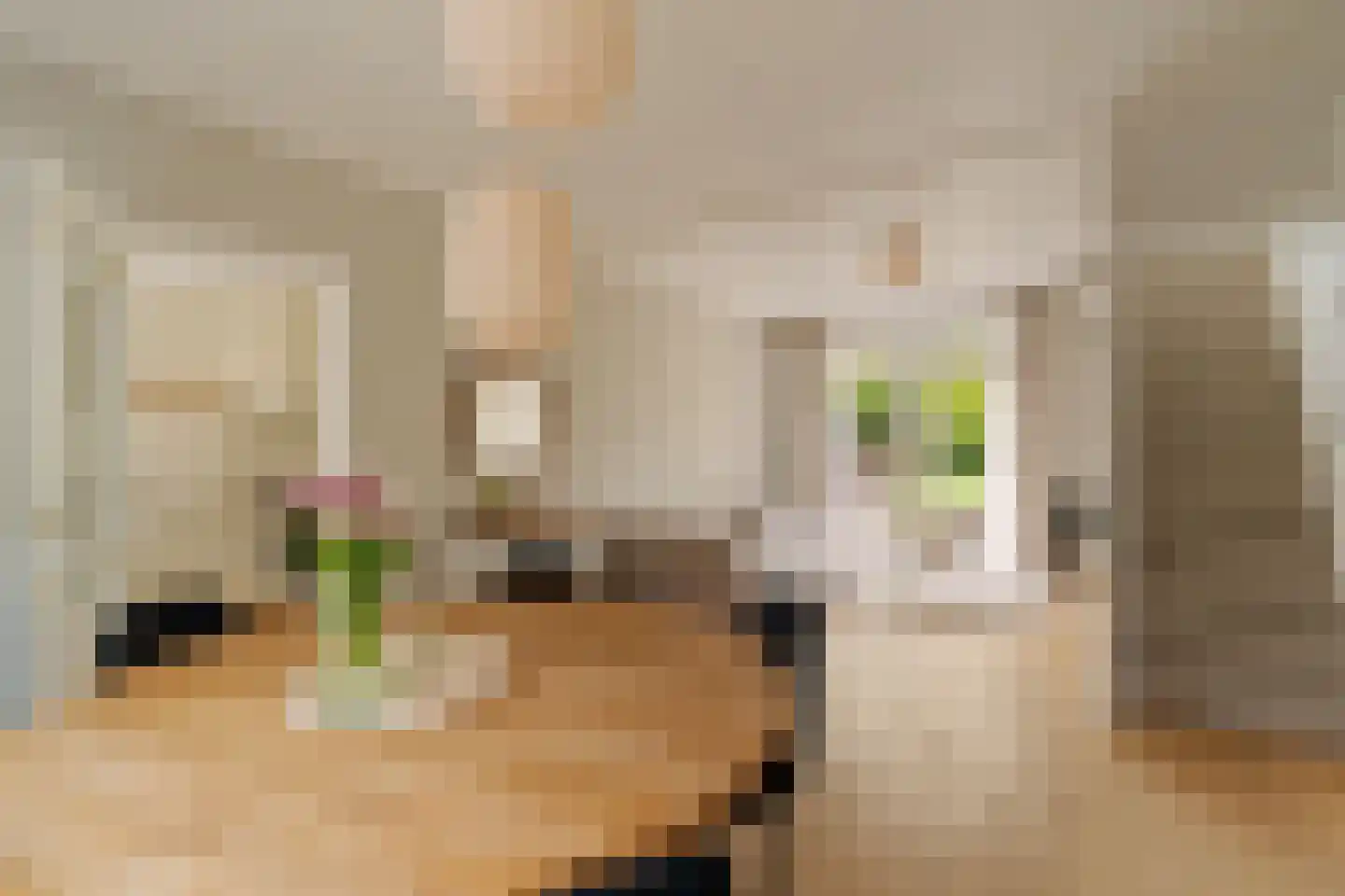 Torenstraat 8 Nieuwerkerk aan den IJssel thumbnail 13