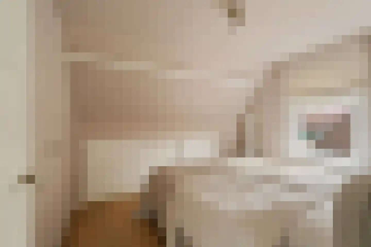 Torenstraat 8 Nieuwerkerk aan den IJssel thumbnail 20