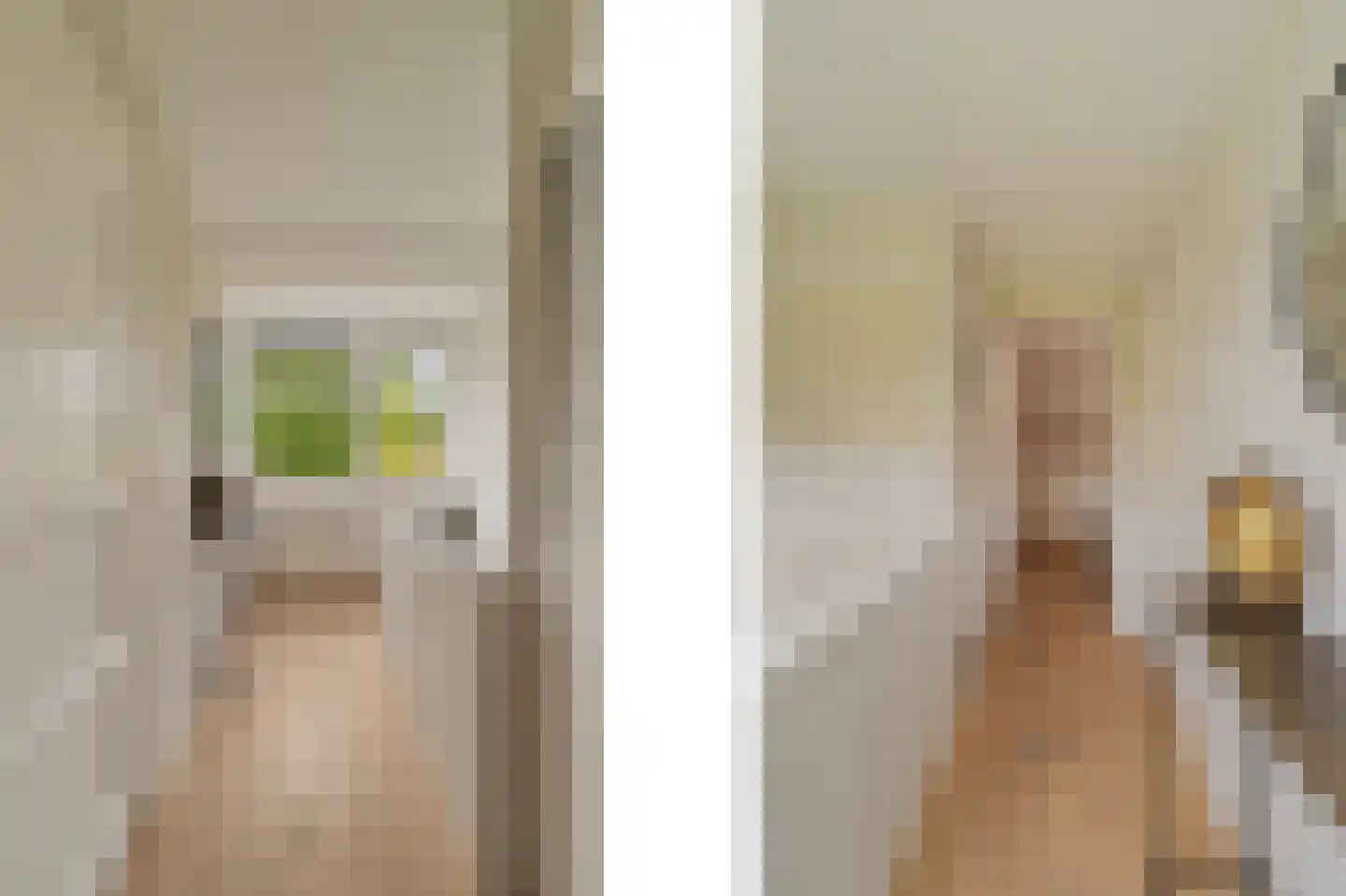 Torenstraat 8 Nieuwerkerk aan den IJssel thumbnail 20