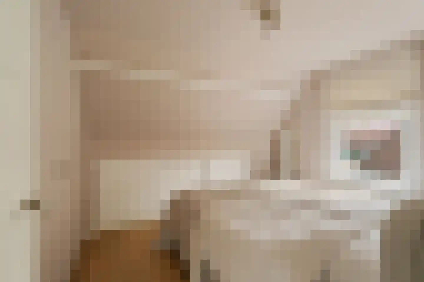 Torenstraat 8 Nieuwerkerk aan den IJssel thumbnail 21