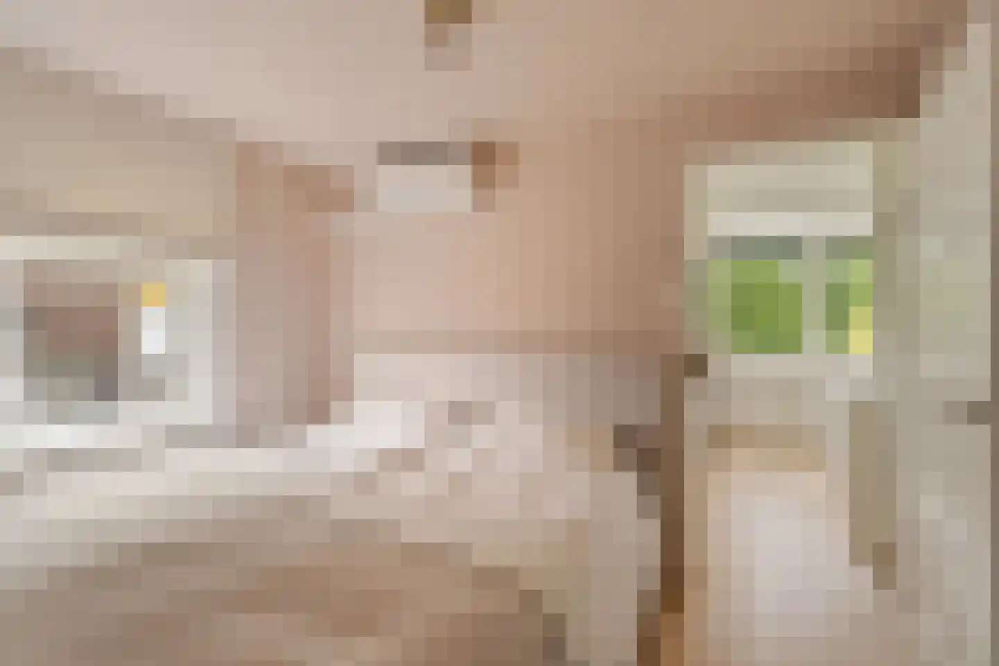 Torenstraat 8 Nieuwerkerk aan den IJssel thumbnail 22