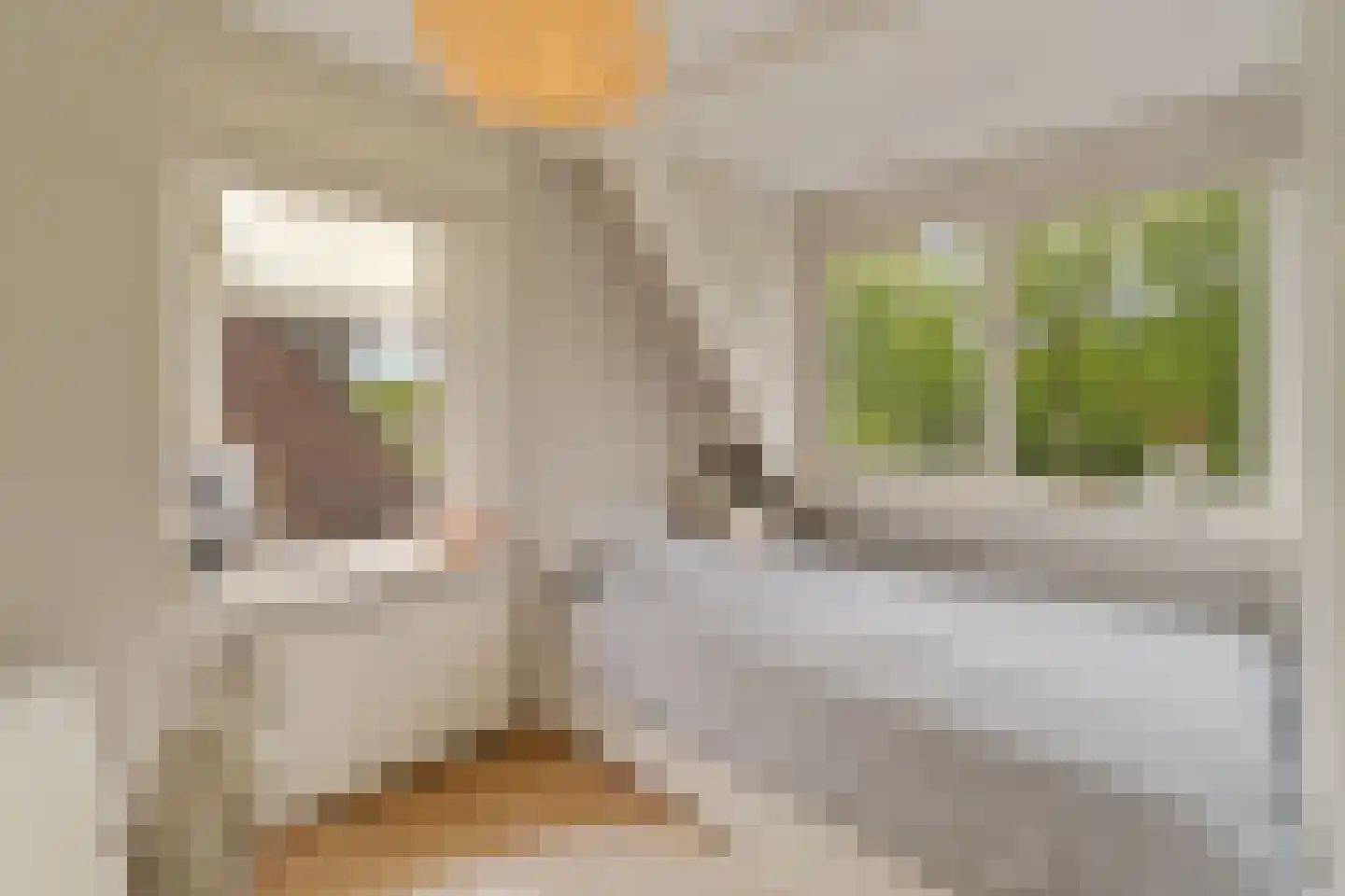 Torenstraat 8 Nieuwerkerk aan den IJssel thumbnail 25