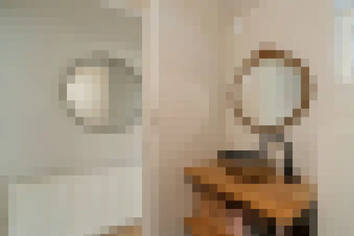 Torenstraat 8 Nieuwerkerk aan den IJssel thumbnail 26