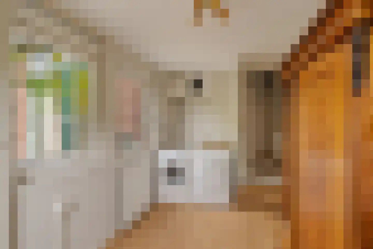 Torenstraat 8 Nieuwerkerk aan den IJssel thumbnail 30