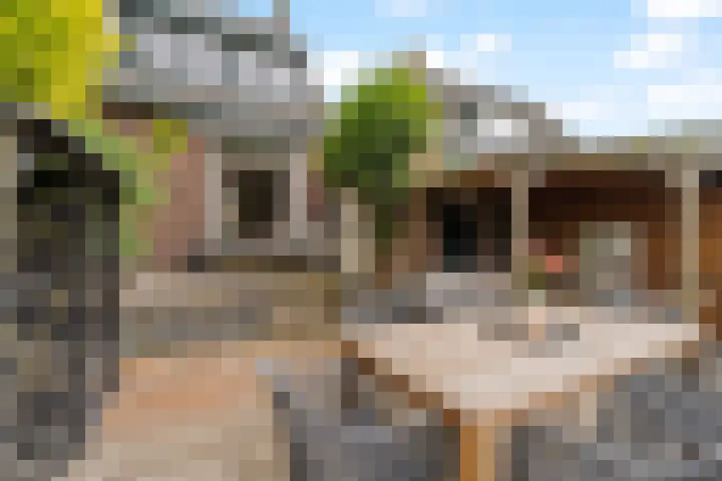 Torenstraat 8 Nieuwerkerk aan den IJssel thumbnail 32