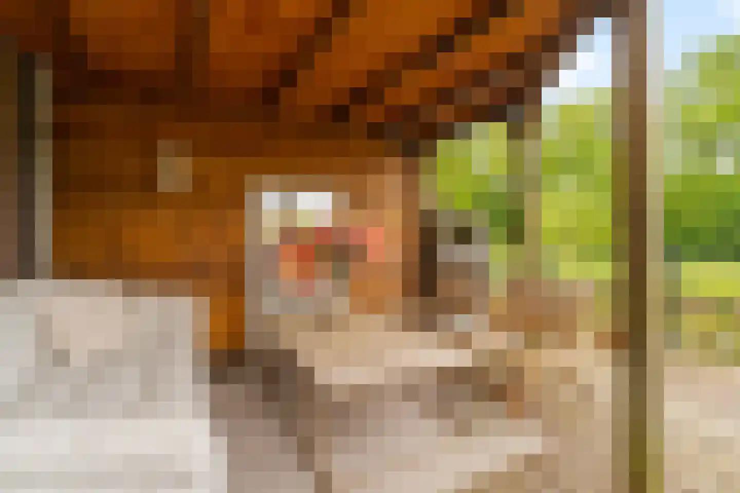 Torenstraat 8 Nieuwerkerk aan den IJssel thumbnail 33