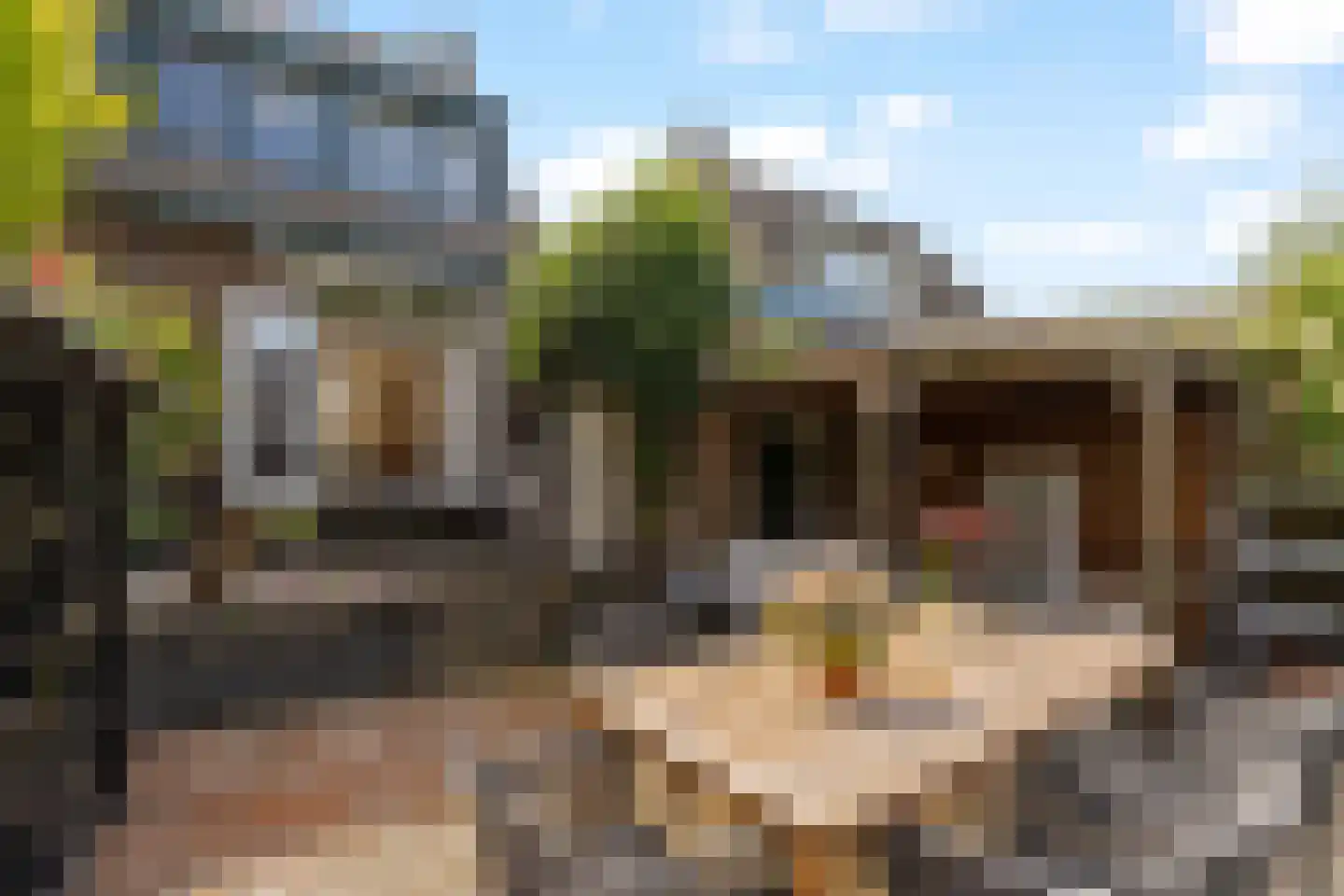 Torenstraat 8 Nieuwerkerk aan den IJssel thumbnail 41