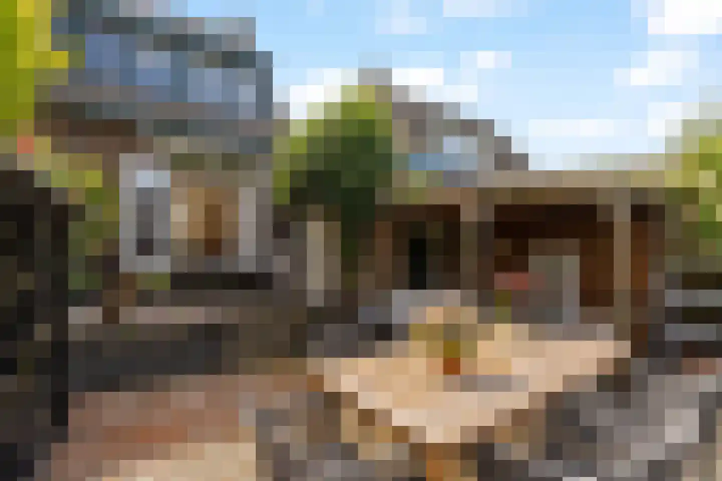 Torenstraat 8 Nieuwerkerk aan den IJssel thumbnail 41