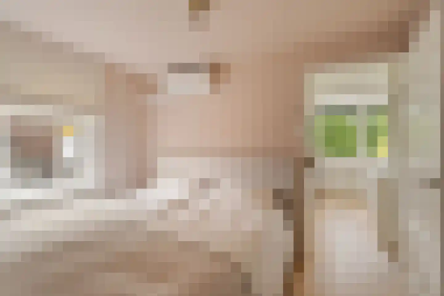 Torenstraat 8 Nieuwerkerk aan den IJssel thumbnail 5