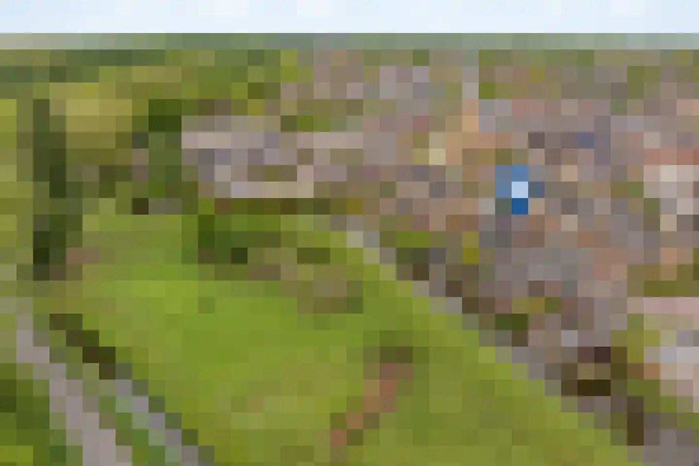 Torenstraat 8 Nieuwerkerk aan den IJssel thumbnail 6