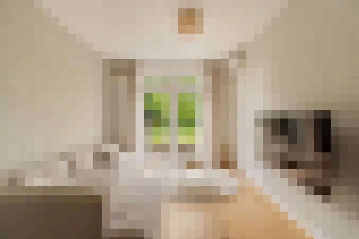 Torenstraat 8 Nieuwerkerk aan den IJssel thumbnail 9