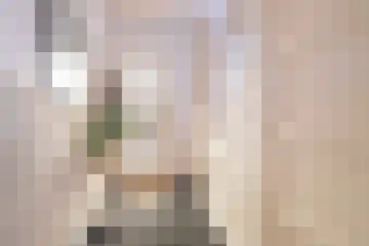Torenstraat 8 Urmond thumbnail 4