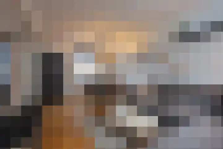 Torenstraat 8 Urmond thumbnail 7