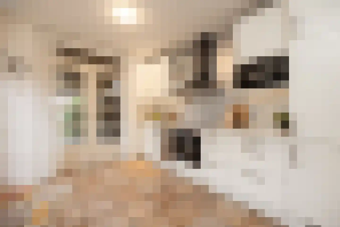 Torenstraat 8 Vught thumbnail 25