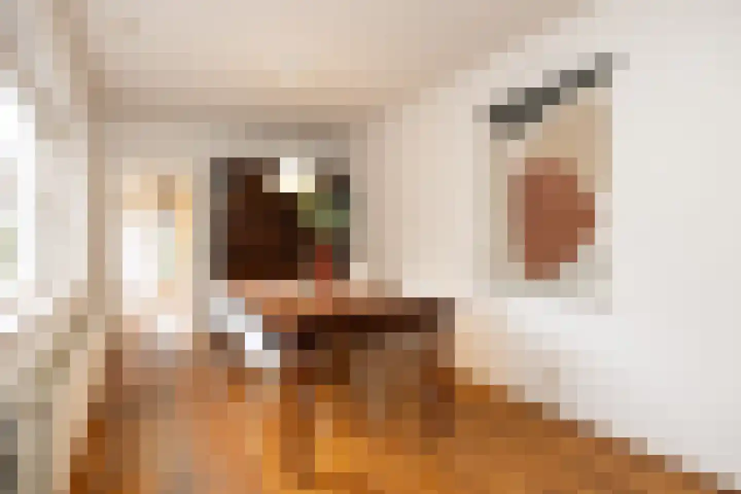 Torenstraat 8 Vught thumbnail 4