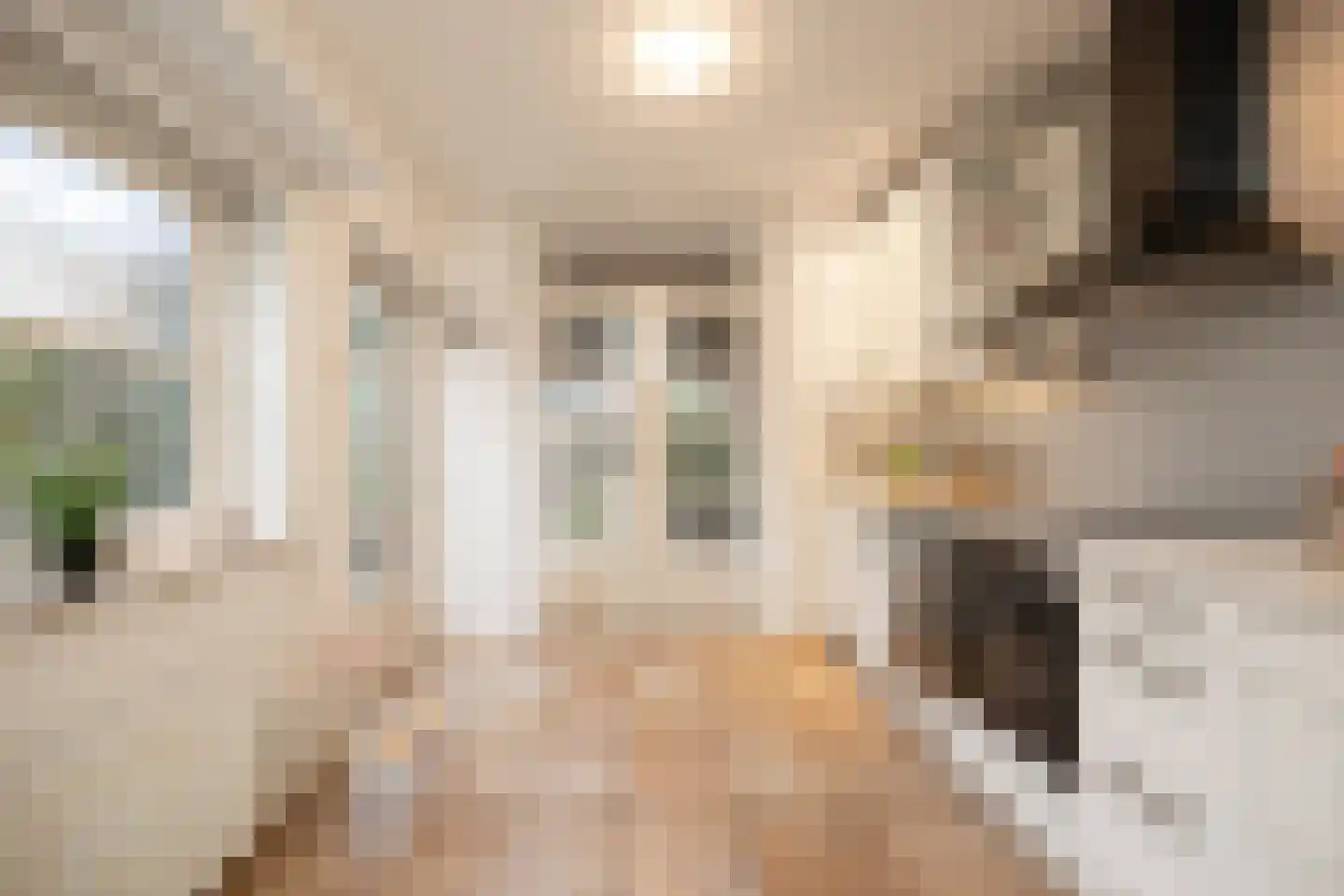 Torenstraat 8 Vught thumbnail 5