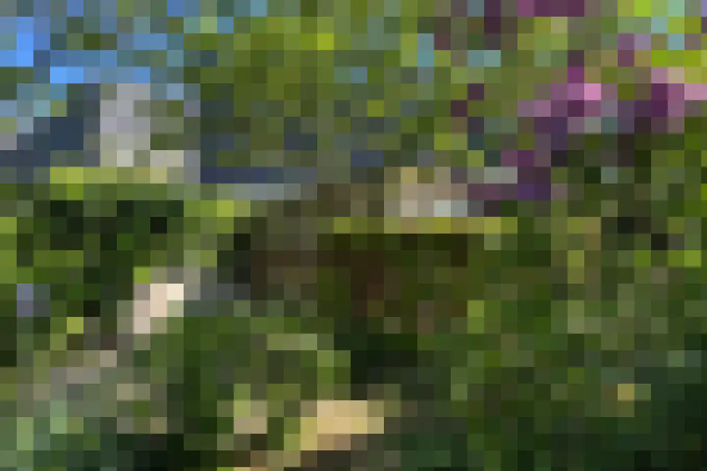Torenstraat 8 Vught thumbnail 6