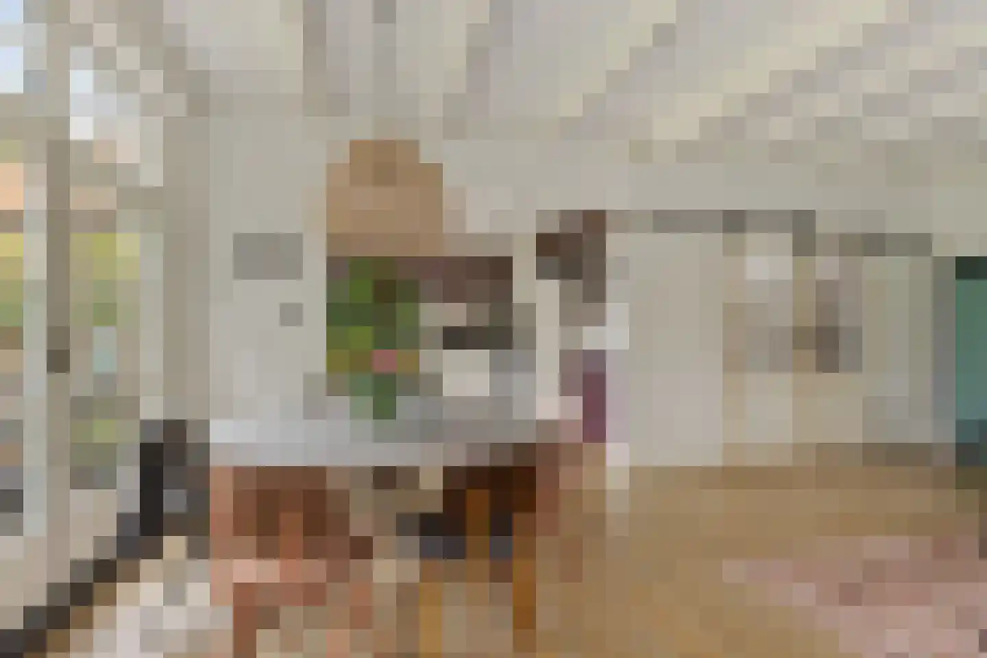 Torenstraat 9 Ezinge thumbnail 11
