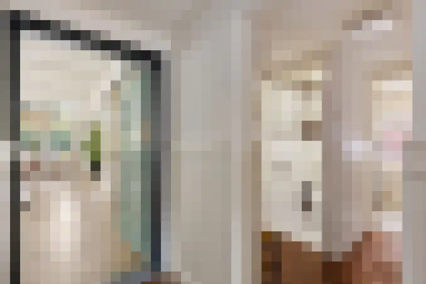 Torenstraat 9 Ezinge thumbnail 17
