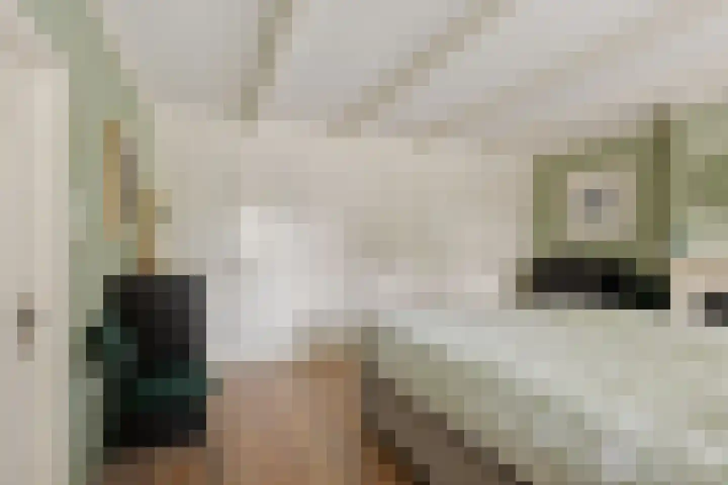 Torenstraat 9 Ezinge thumbnail 19