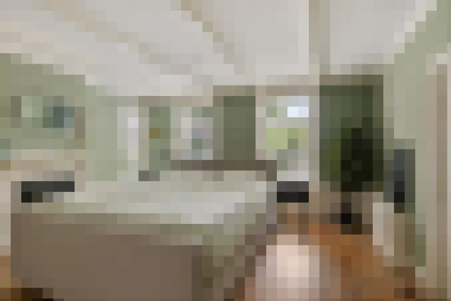 Torenstraat 9 Ezinge thumbnail 20