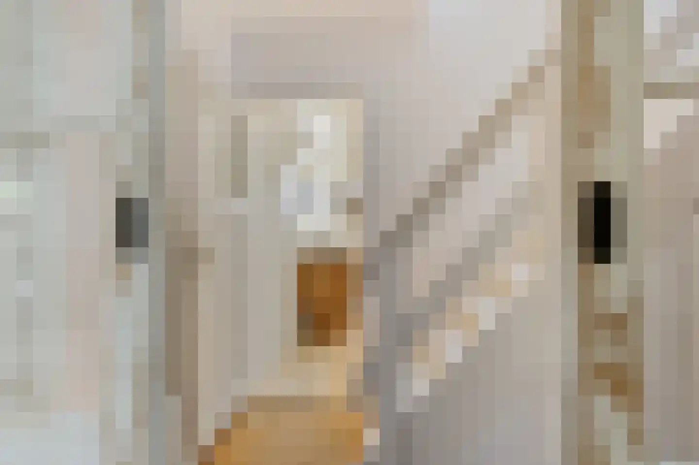Torenstraat 9 Ezinge thumbnail 21
