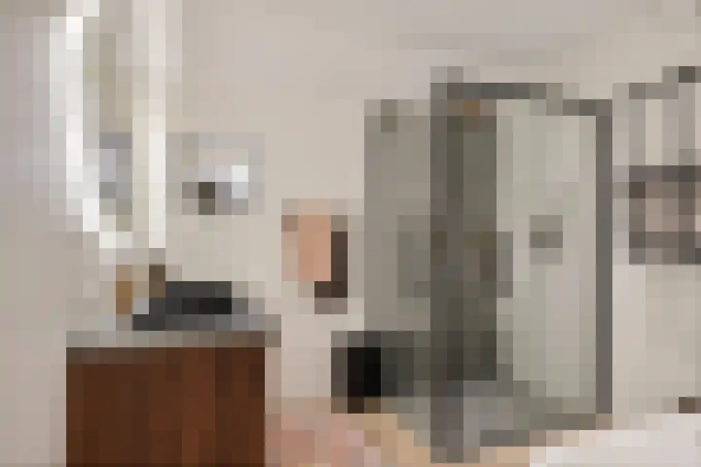 Torenstraat 9 Ezinge thumbnail 22