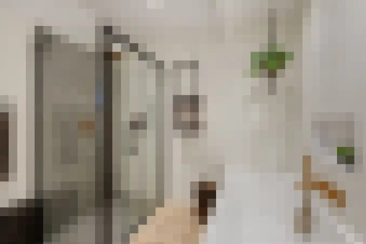Torenstraat 9 Ezinge thumbnail 23